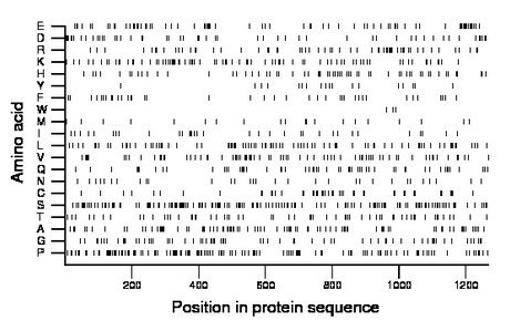 amino acid map