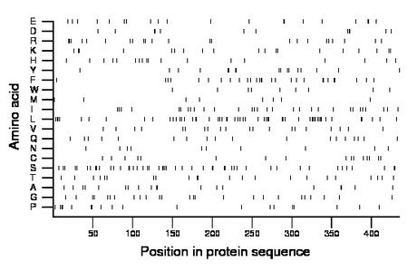 amino acid map