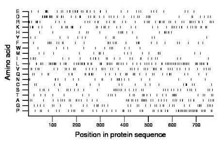 amino acid map