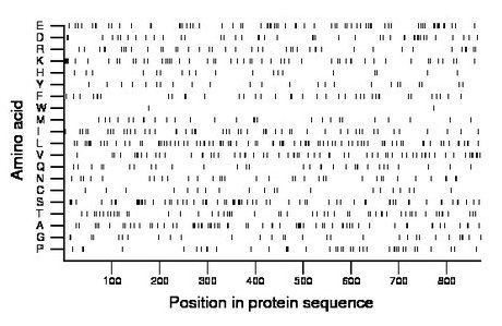 amino acid map