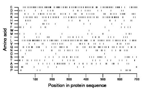 amino acid map