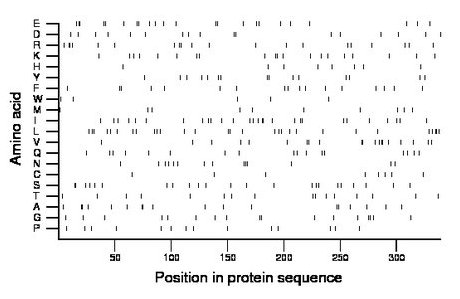 amino acid map