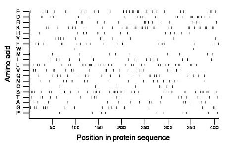 amino acid map