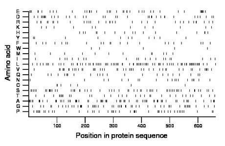 amino acid map