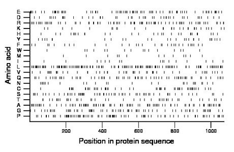 amino acid map