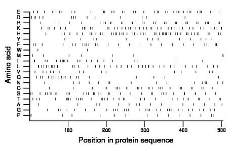 amino acid map