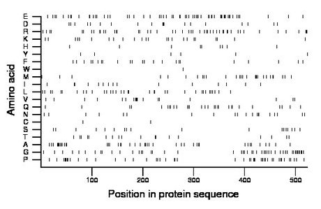 amino acid map