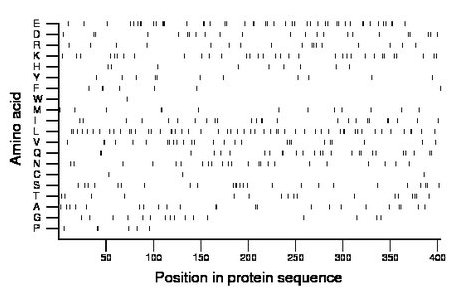 amino acid map