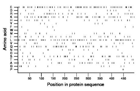 amino acid map