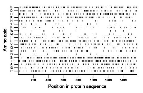 amino acid map