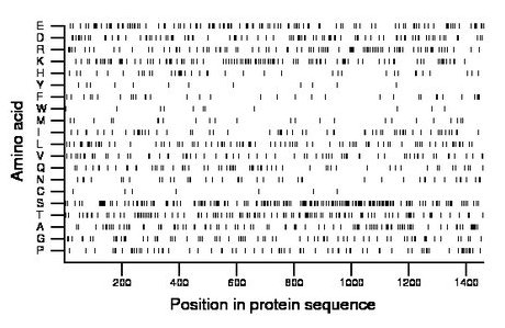 amino acid map