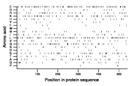 amino acid map