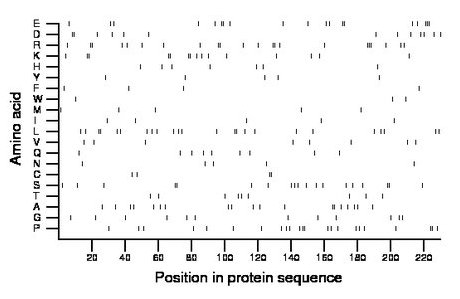 amino acid map