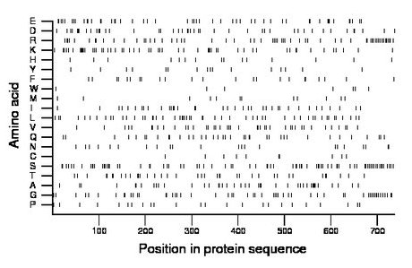 amino acid map