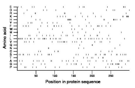 amino acid map