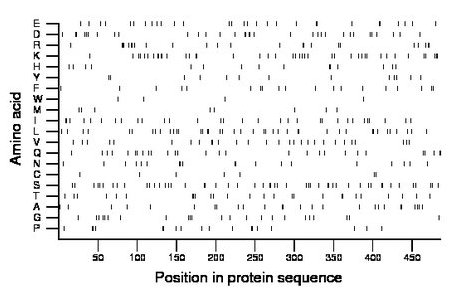 amino acid map