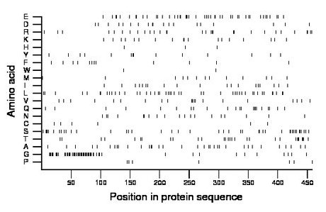 amino acid map