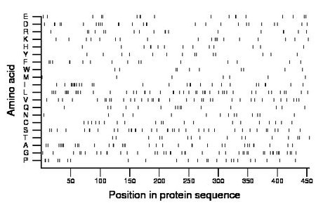 amino acid map