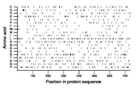 amino acid map