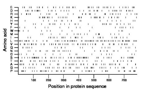 amino acid map