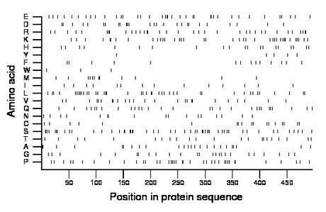 amino acid map