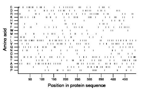 amino acid map