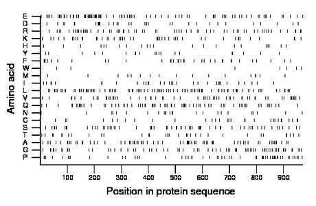 amino acid map