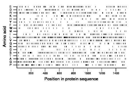 amino acid map