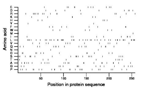 amino acid map