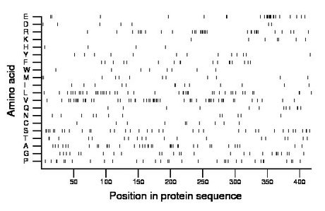 amino acid map