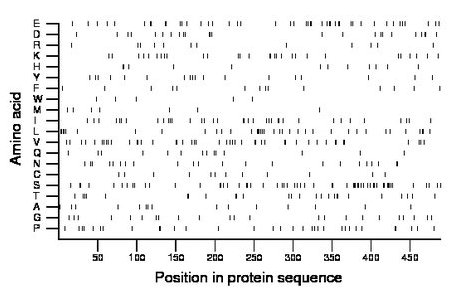 amino acid map