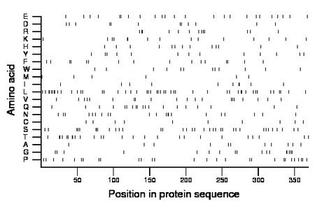 amino acid map