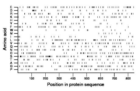 amino acid map