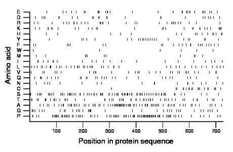 amino acid map