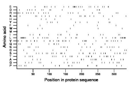 amino acid map