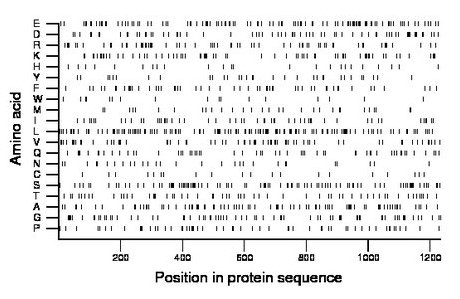 amino acid map