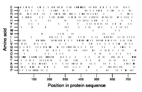 amino acid map