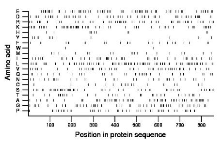 amino acid map