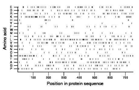 amino acid map