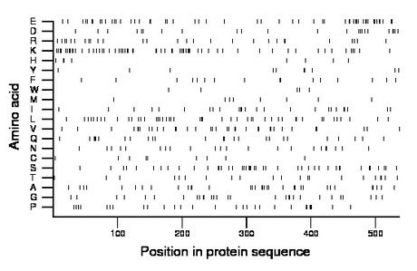 amino acid map