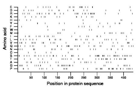 amino acid map