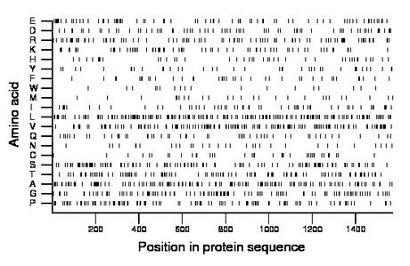 amino acid map