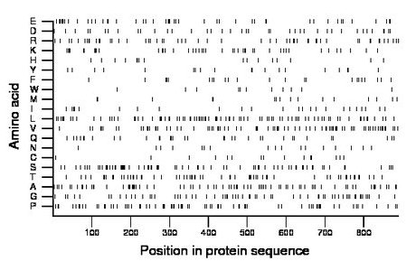 amino acid map