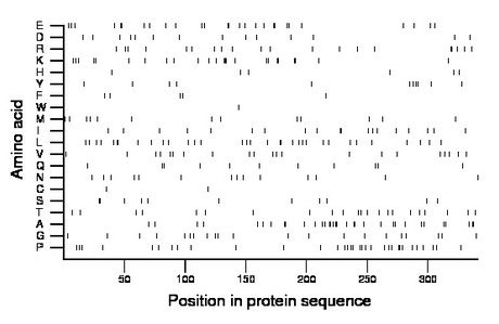 amino acid map