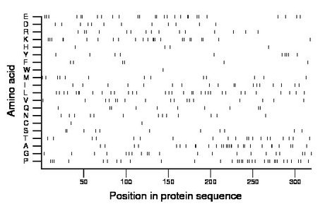 amino acid map