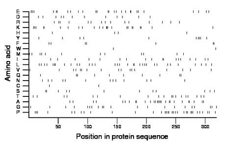 amino acid map