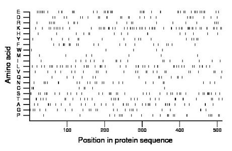 amino acid map