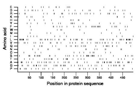 amino acid map