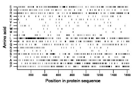 amino acid map