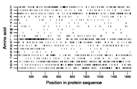 amino acid map